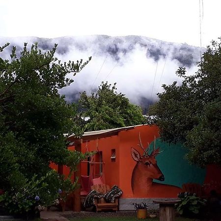 La Estacion Hostel Lago Puelo Dış mekan fotoğraf