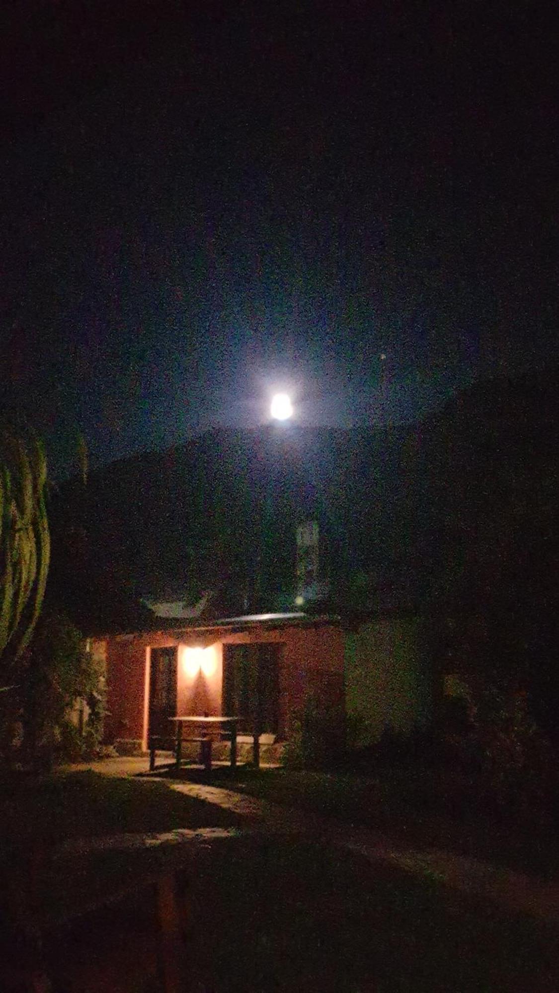 La Estacion Hostel Lago Puelo Dış mekan fotoğraf