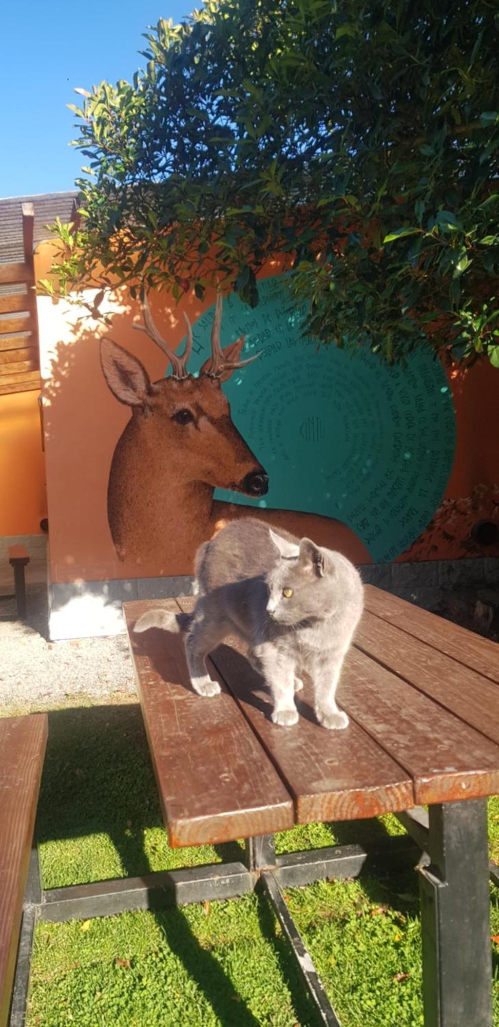 La Estacion Hostel Lago Puelo Dış mekan fotoğraf